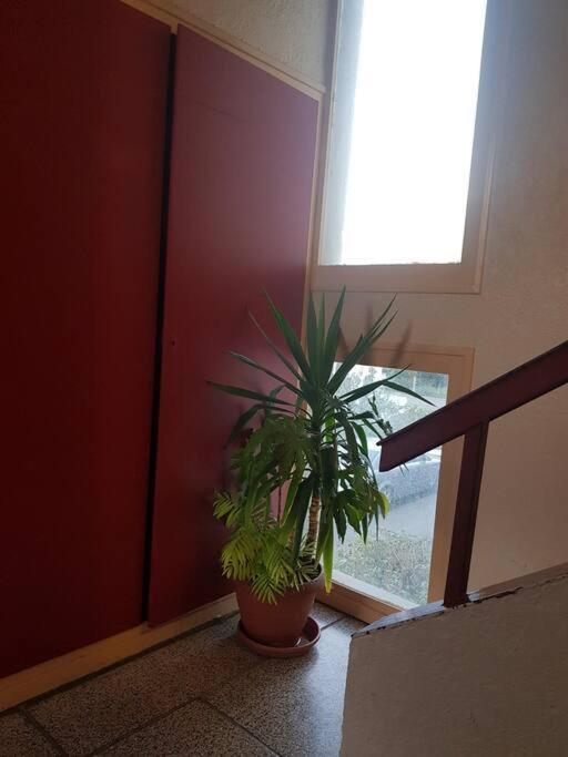 Superbe Appartement En Residence Prive Avec Un Parking Prive Scionzier Esterno foto